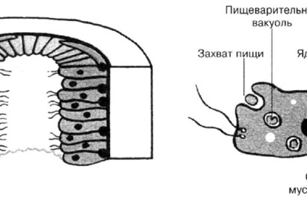 Кракен войти сегодня