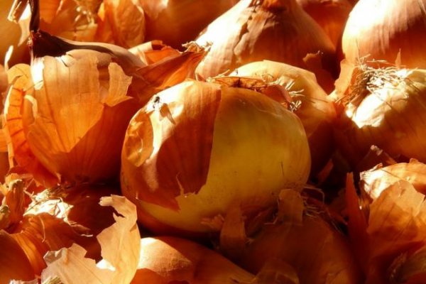 Сайты по продаже наркотиков