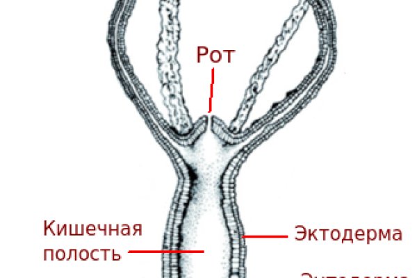 Кракен тор ссылка магазин