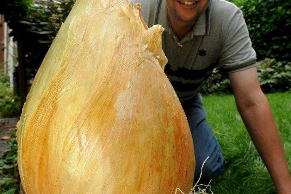Как зарегистрироваться на кракене