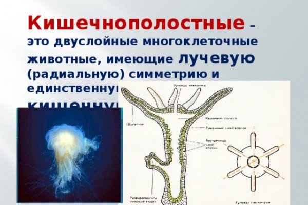 Kraken cc ссылка