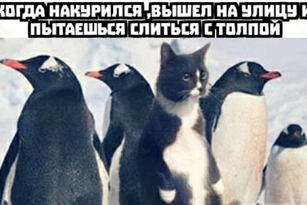 Нарко магазин кракен