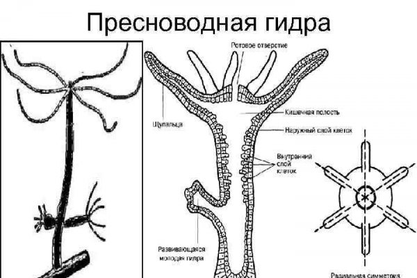 Кракен лучший маркетплейс